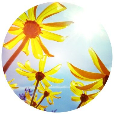 happy summer solstice
