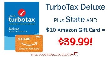 deluxe turbo tax