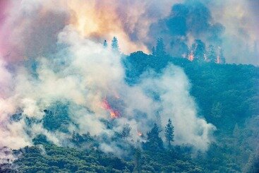 california fire tax